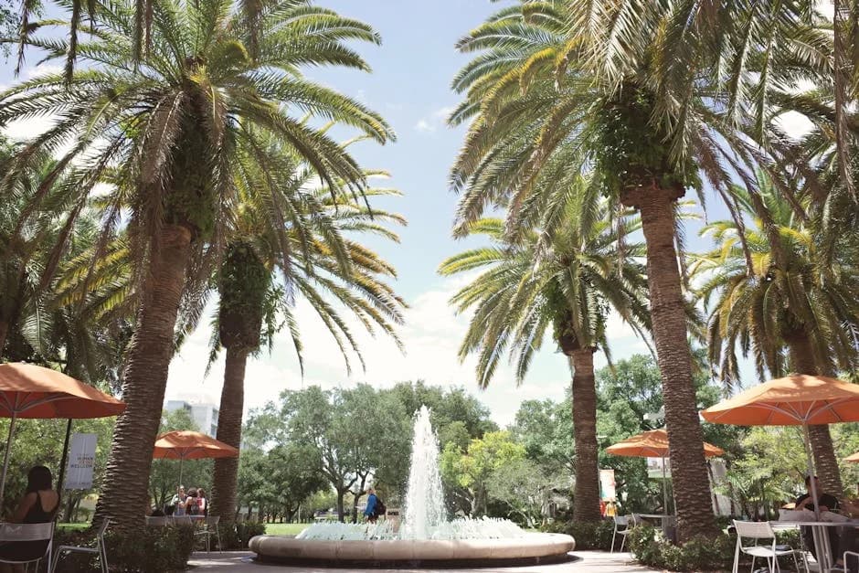 Raytheon Patriot Scholarship